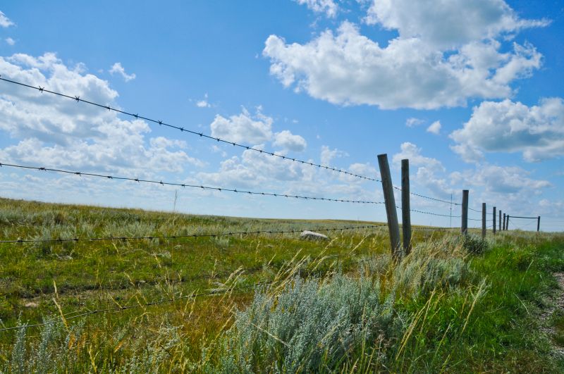 Barbed Wire Fence Service